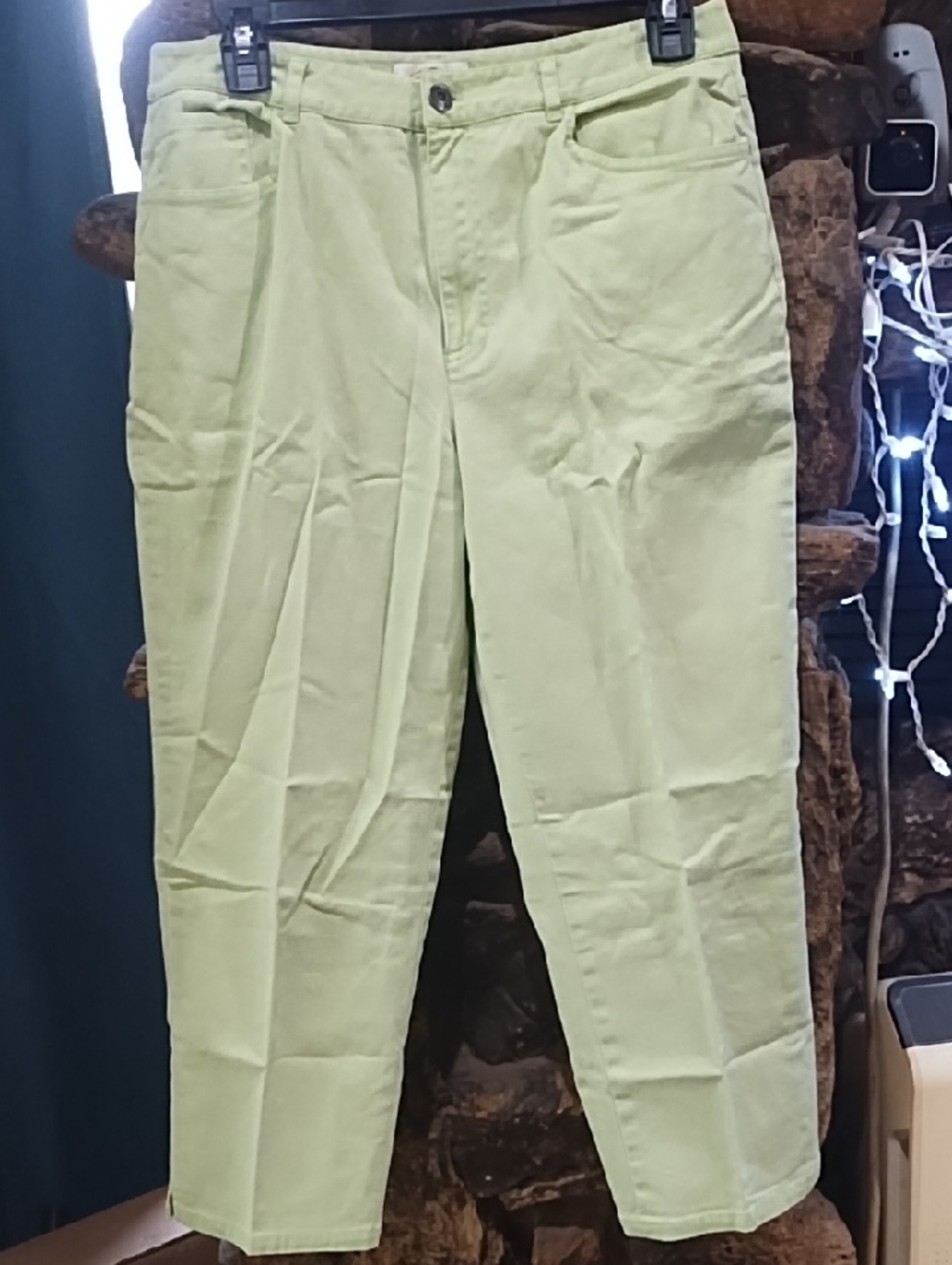 Talbots Light Green  Chinos